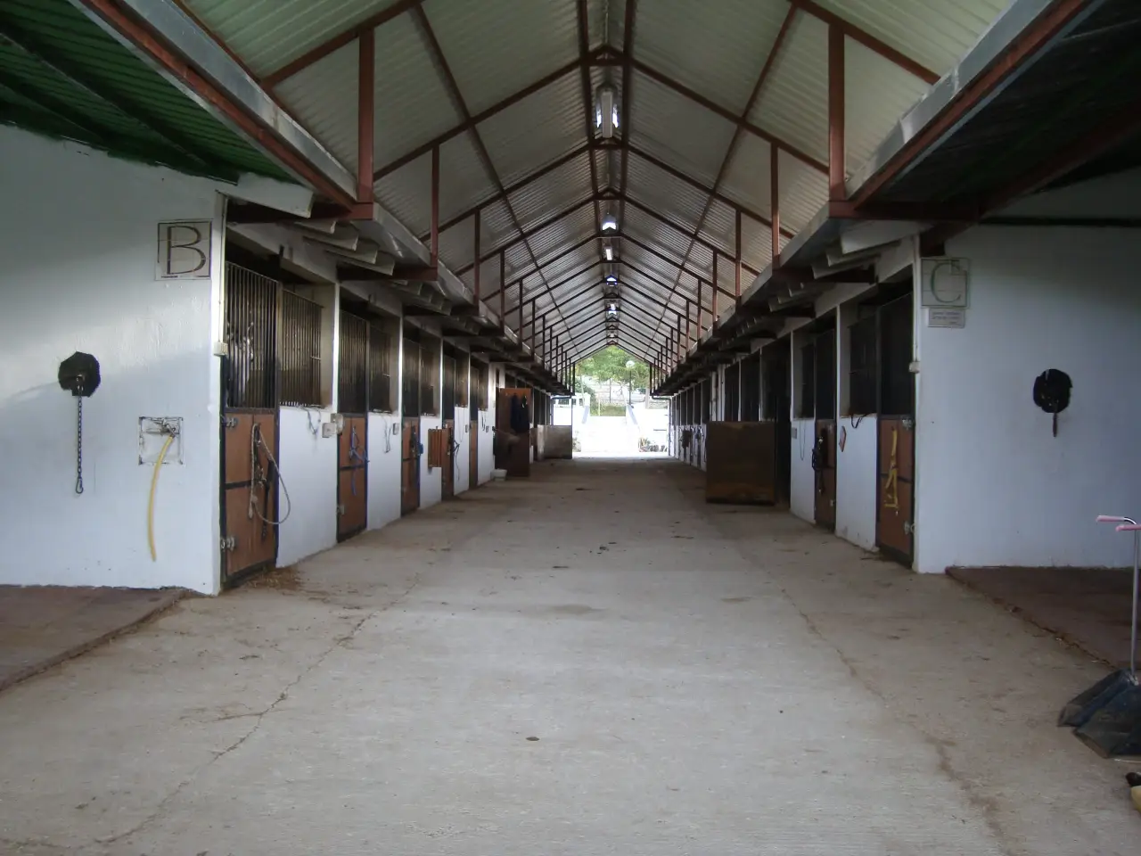 campamento 6