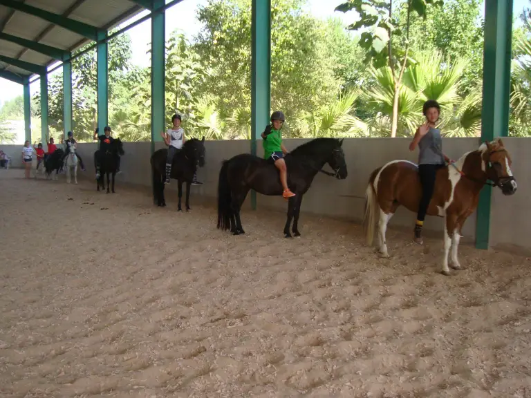 Centro hípico - instalaciones y actividades ecuestres