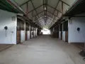 DSC03376-scaled